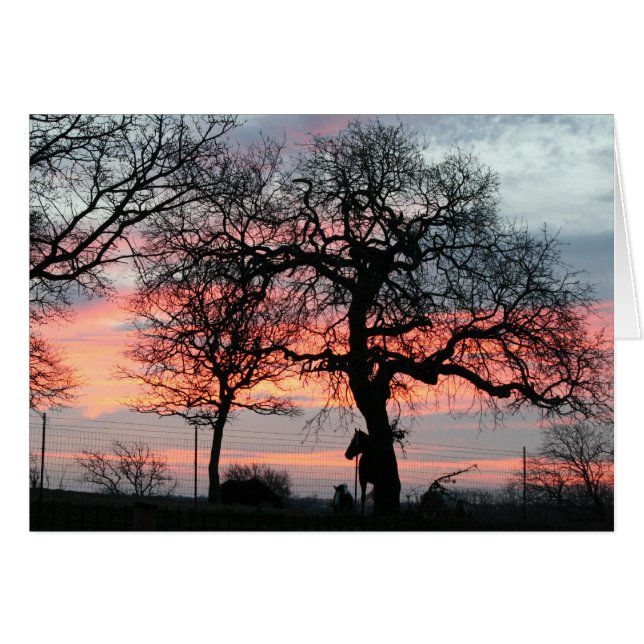 Le ciel magique (Devant horizontal)