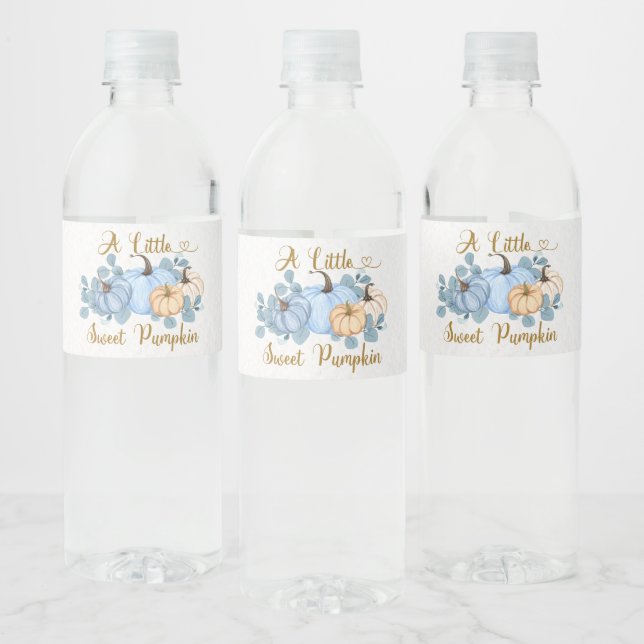 Le citrouille sucré est sur le chemin étiquette bo (Bouteilles)