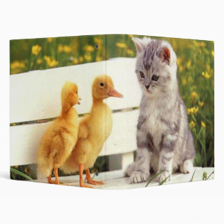 Le classeur de vilain petit canard