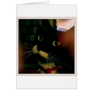 Le Closeup de Lucy