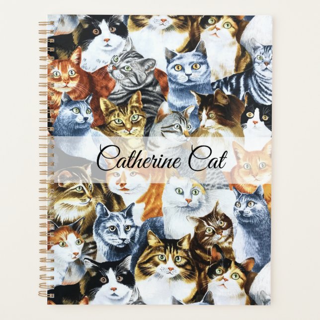 Le clowder de CATS (Devant)