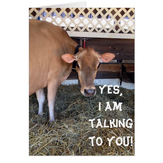 LE COEUR DE LA VACHE BATTRE 70 FOIS PAR MINUTE POU (Devant)