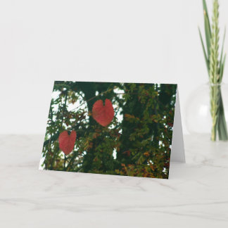 Le coeur rouge part de la carte de voeux