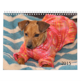 Le coffre-fort remet le calendrier 2015