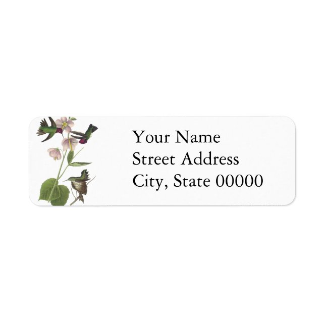 Le colibri d'Anna, James Audubon (Devant)