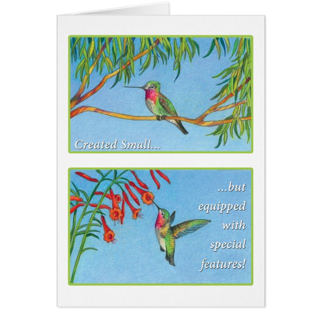 Le colibri - FILET de 34:8 de psaumes (Devant)