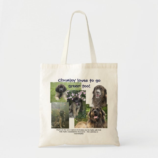 Le combat du Chumley contre le sac fourre - tout à (Devant)
