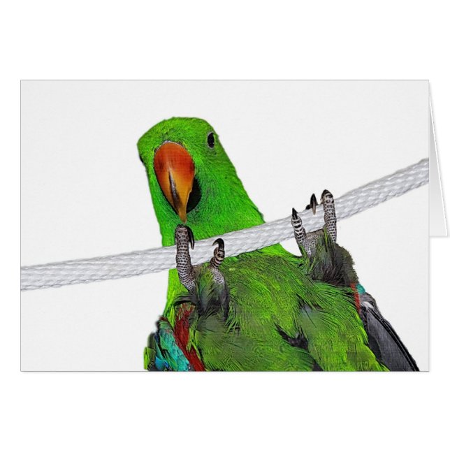 Le comique (Devant horizontal)