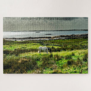 Le Connemara poney Galway Irlande. Jigsaw Puzzle