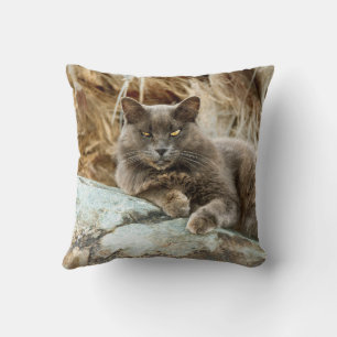 Le Coque Coussin de chat