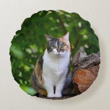 Le Coque Coussin de chat