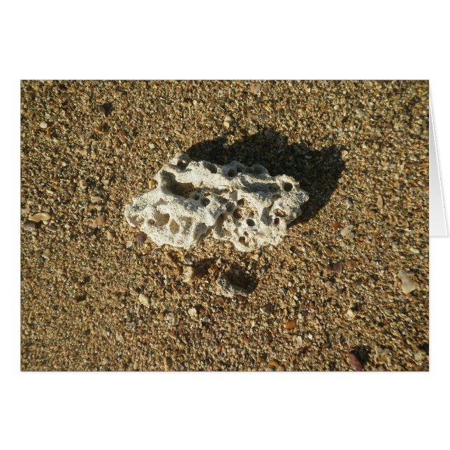 Le corail sur le sable (Devant horizontal)