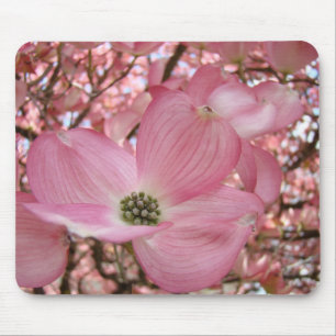 Le CORNOUILLER rose FLEURIT les TAPIS DE SOURIS