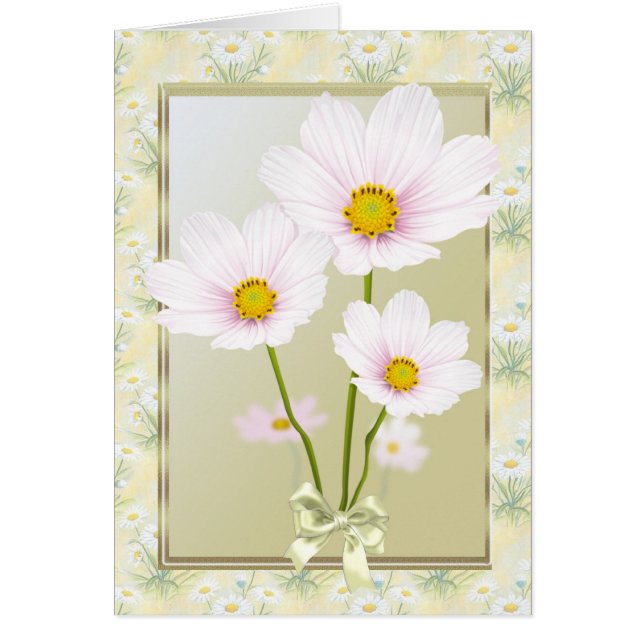 Le cosmos (marguerite) fleurit la carte (Devant)