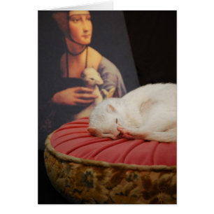 Le coussin de sur de Furet s'est levé II