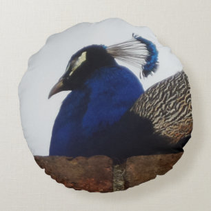 Le Coussin rond du mur