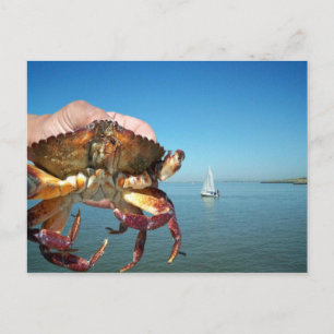 Le crabe et le voilier, carte postale