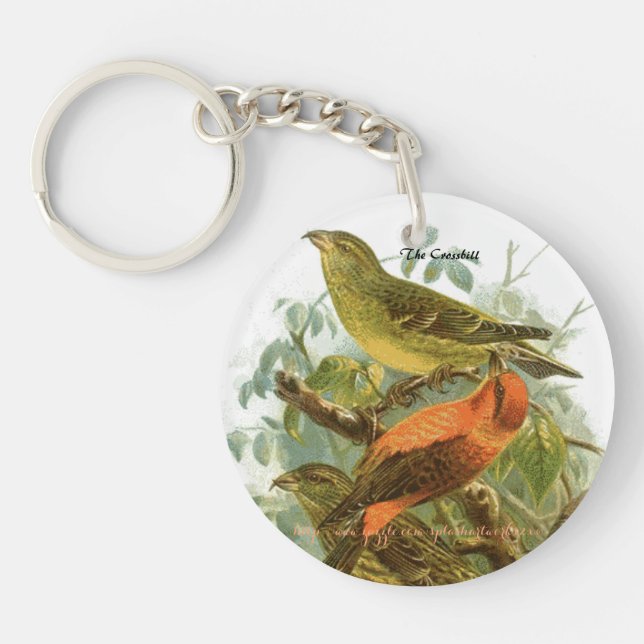 "Le Crossbill" (Devant)