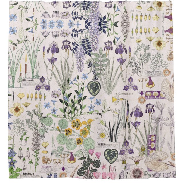 Le cru français de Nouveau d'art fleurit le rideau (Devant)