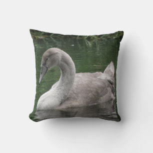 Le cygne gracieux sur le Coussin d'eau