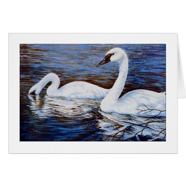 Le cygne timide (Devant horizontal)