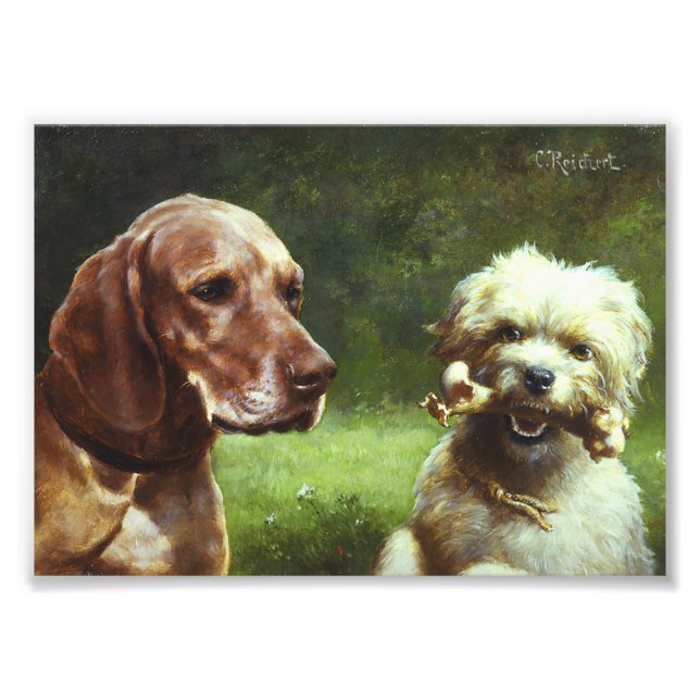 Le cynique et le philosophe photo (Devant)