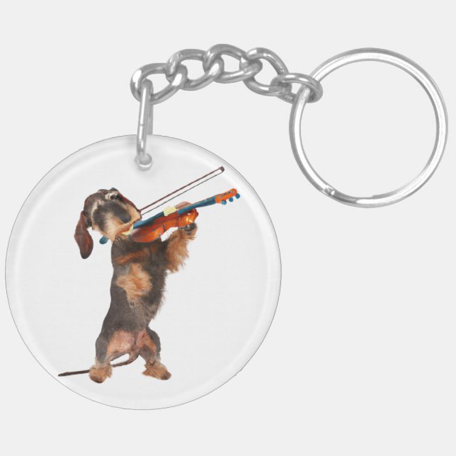 Le Dachshund À poils durs Jouant Un Violon (Dos droit)