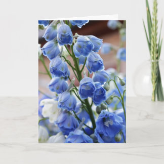 Le delphinium fleurit la carte de voeux