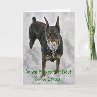 Le dobermann Père Noël fait la meilleure carte de
