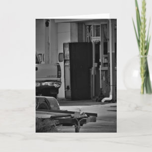 "Le docteur est là à 10, 2 et 4" Carte de vœux de 