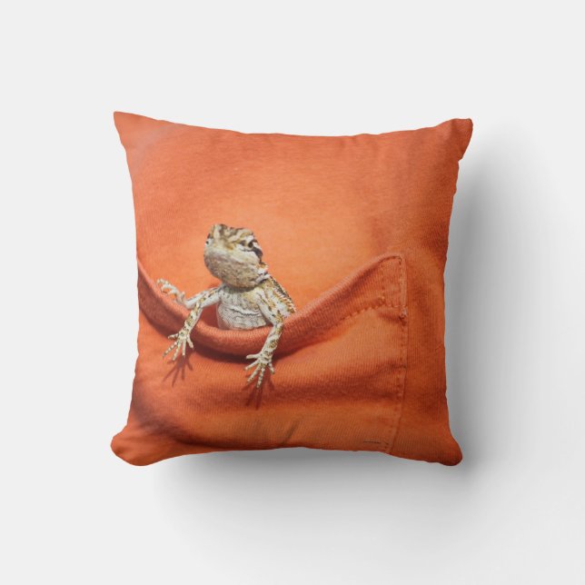le double a dégrossi coussin barbu de dragon (Recto)