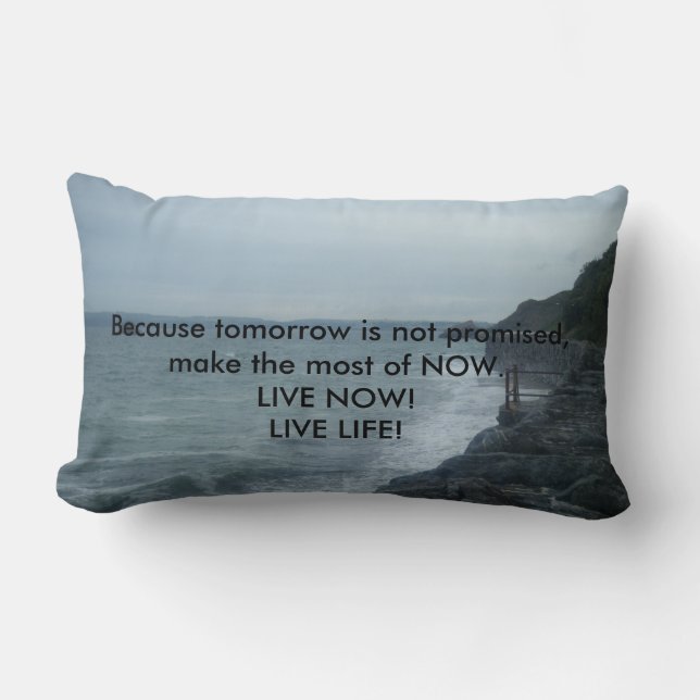 Le doux et le coussin "la vie vivante" de peluche (Recto)