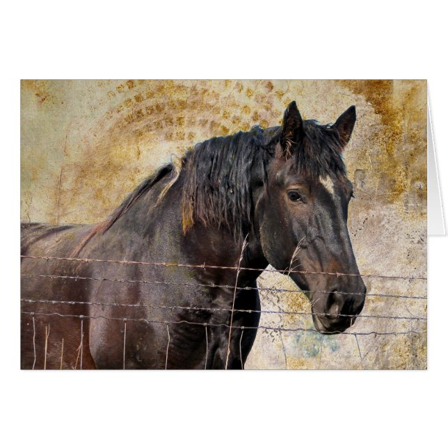 Le doux, un cheval à tirant (Devant horizontal)
