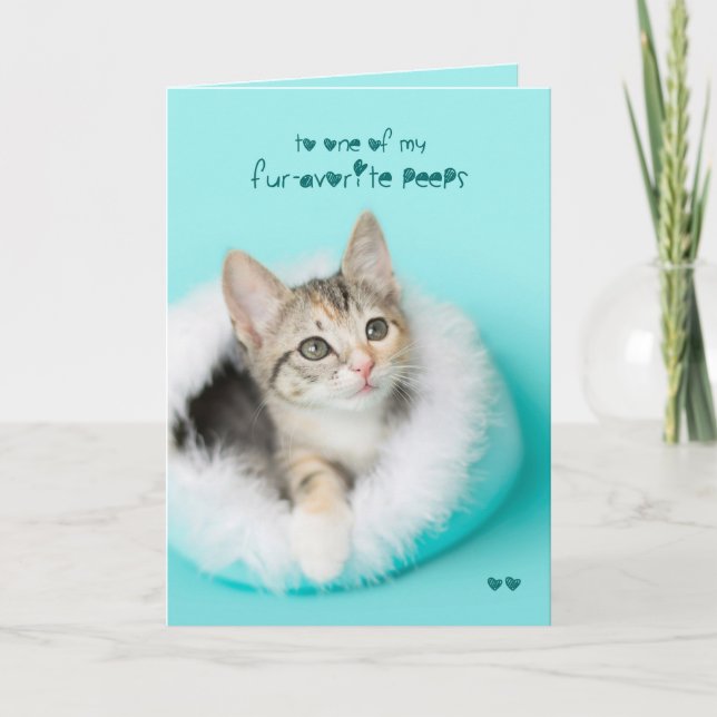 Le favori piaule carte de Pâques de chaton (Devant)