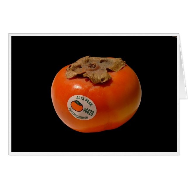 Le feu de Zeus (Devant horizontal)