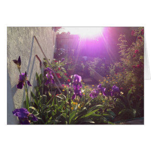 Le feu violet par harmonie