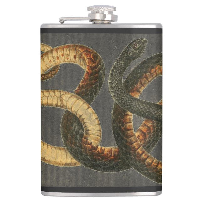 Le flacon de serpent de cabotage (Devant)