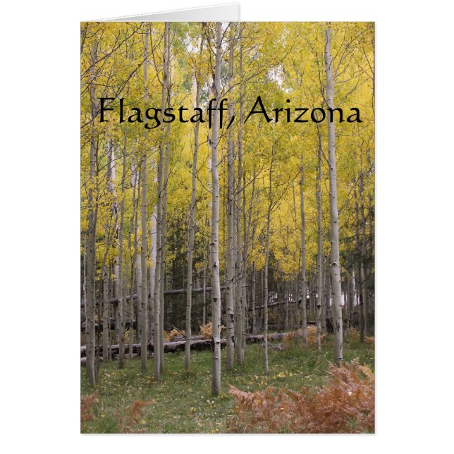 Le flagstaff jaune d'Aspen (Devant)