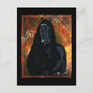 Le friésien - Carte postale