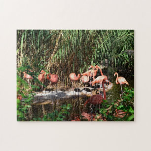 Le gabarit de Flamants roses a vu le puzzle