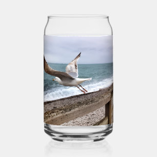 Le goëland d'Etretat français