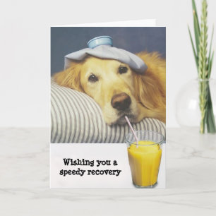 Le golden retriever obtiennent la carte bonne