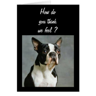 LE GROUPE EST EN TRAIN D'ATTEINDRE 40