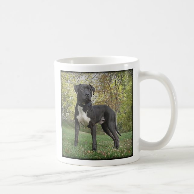 Le Hudson - amour d'I mon pitbull Terrier ! Tasse (Droite)