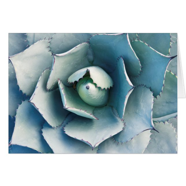 Le jardin botanique de Huntington (Devant horizontal)