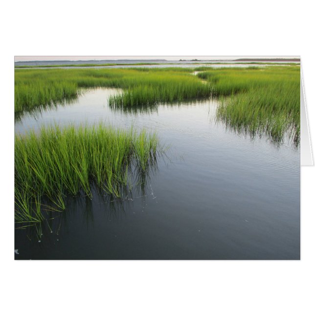 Le Jardin de Beaufort (Devant Horizontal)