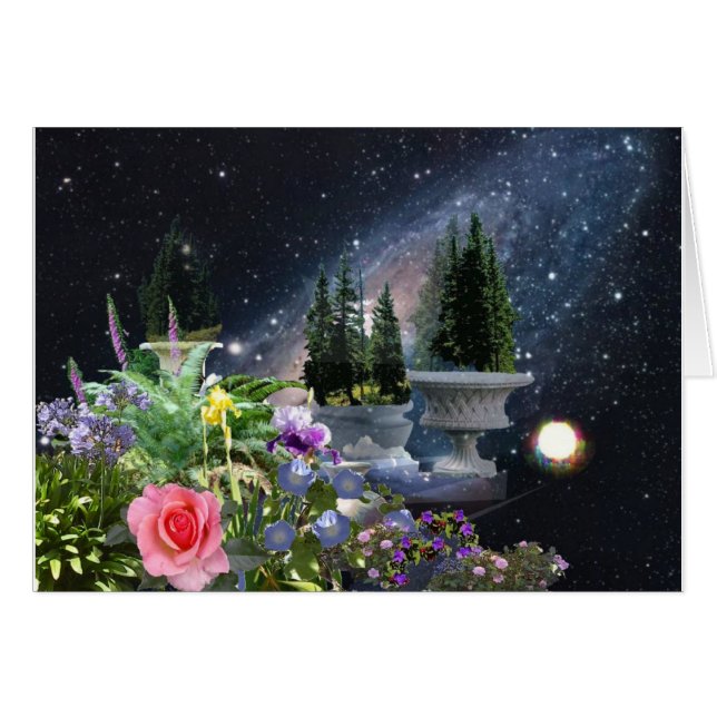 Le jardin de Tommy (Devant horizontal)