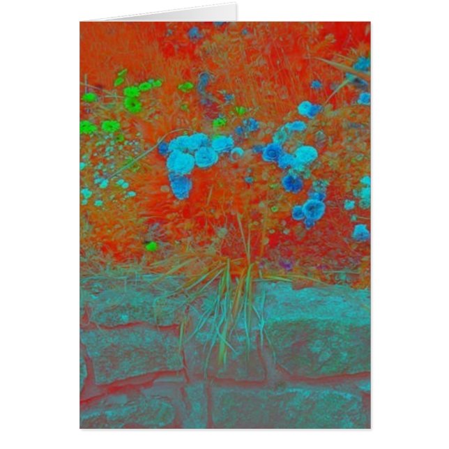 Le jardin du grand-père (Devant)