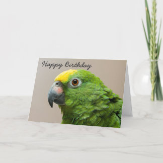 Le jaune de carte d'anniversaire a dirigé le