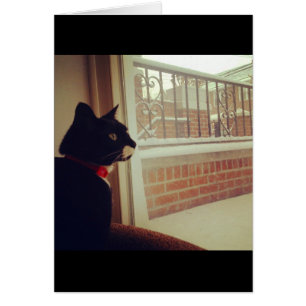 Le Jour de la Neige de Lucy